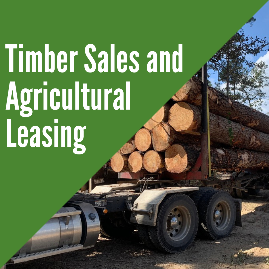 Timber and AG Leasing